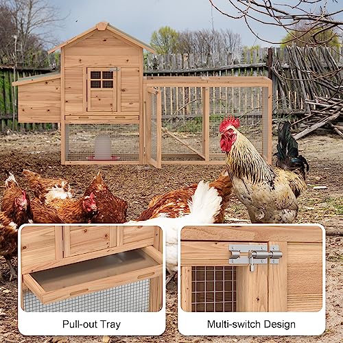 Wooden Chicken Coop with Nesting Box and Ramp L31119