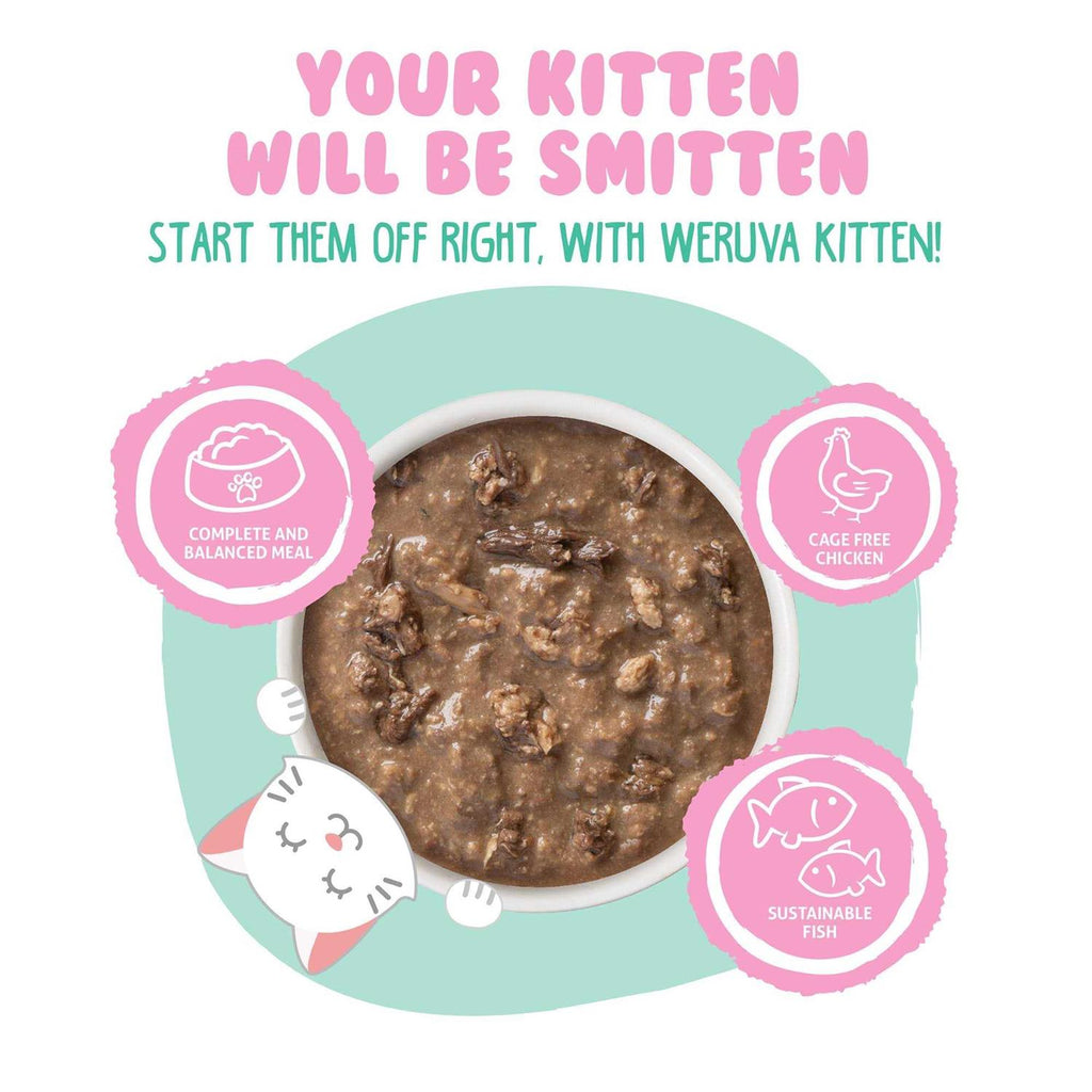 Chicken & Tuna Formula in Gravy Wet Cat Food N5492