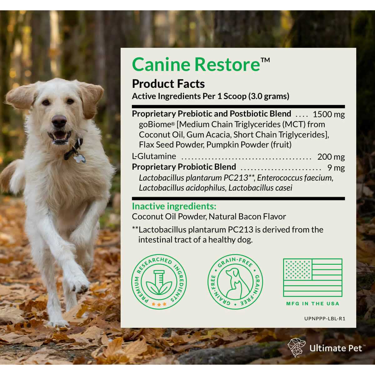Digestive Support Powder for Dogs 3.17 oz X846261