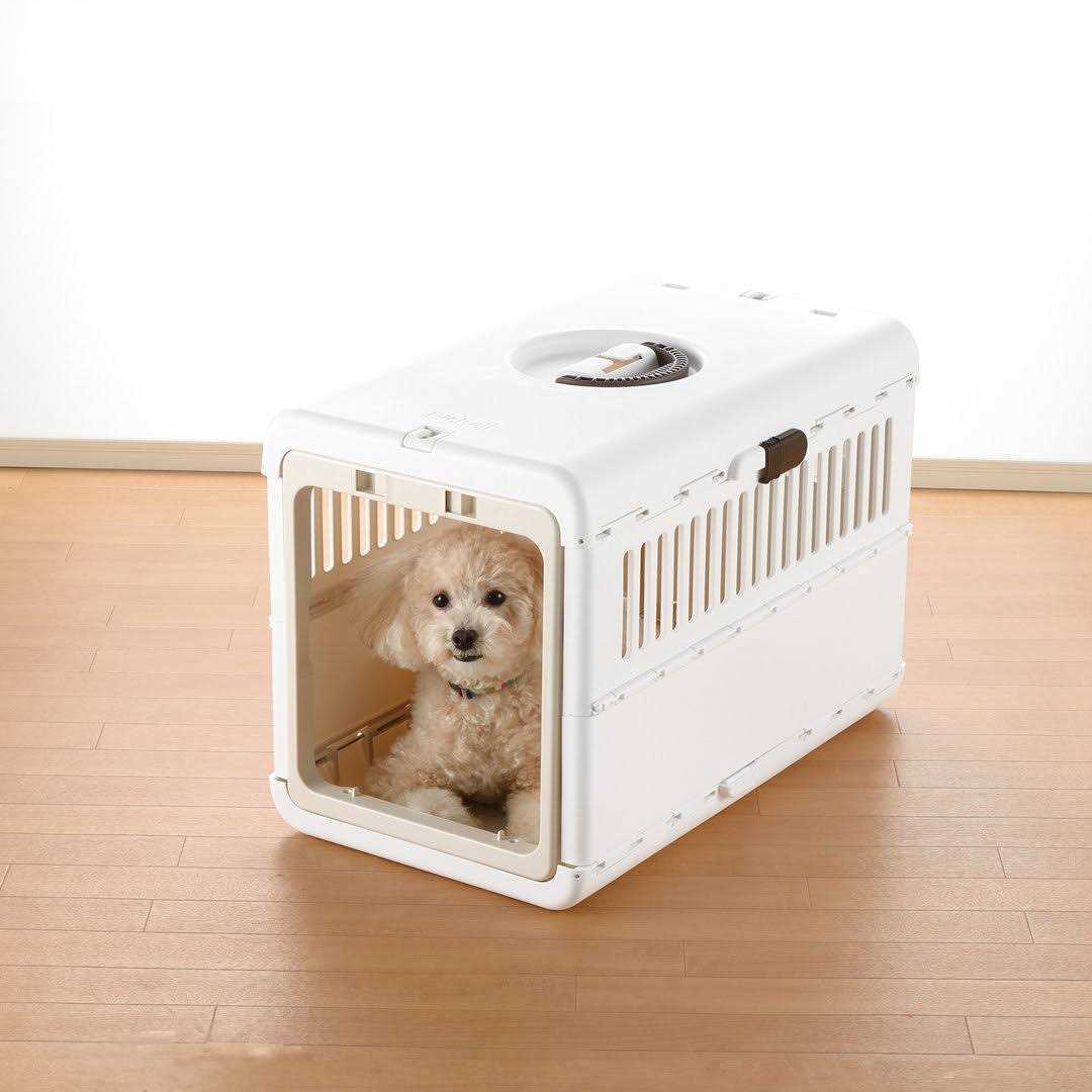 Foldable Pet Carrier D348