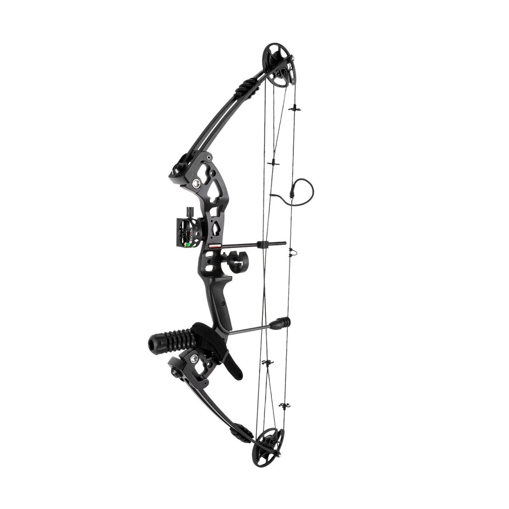 Compound Bow with 12 Arrows, 24-29.5 inches Draw Distance, 310FPS I77155