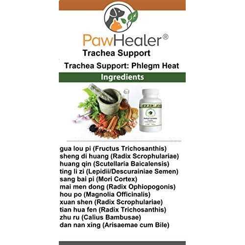 Dog Cough Remedy Pet Supplies B229017