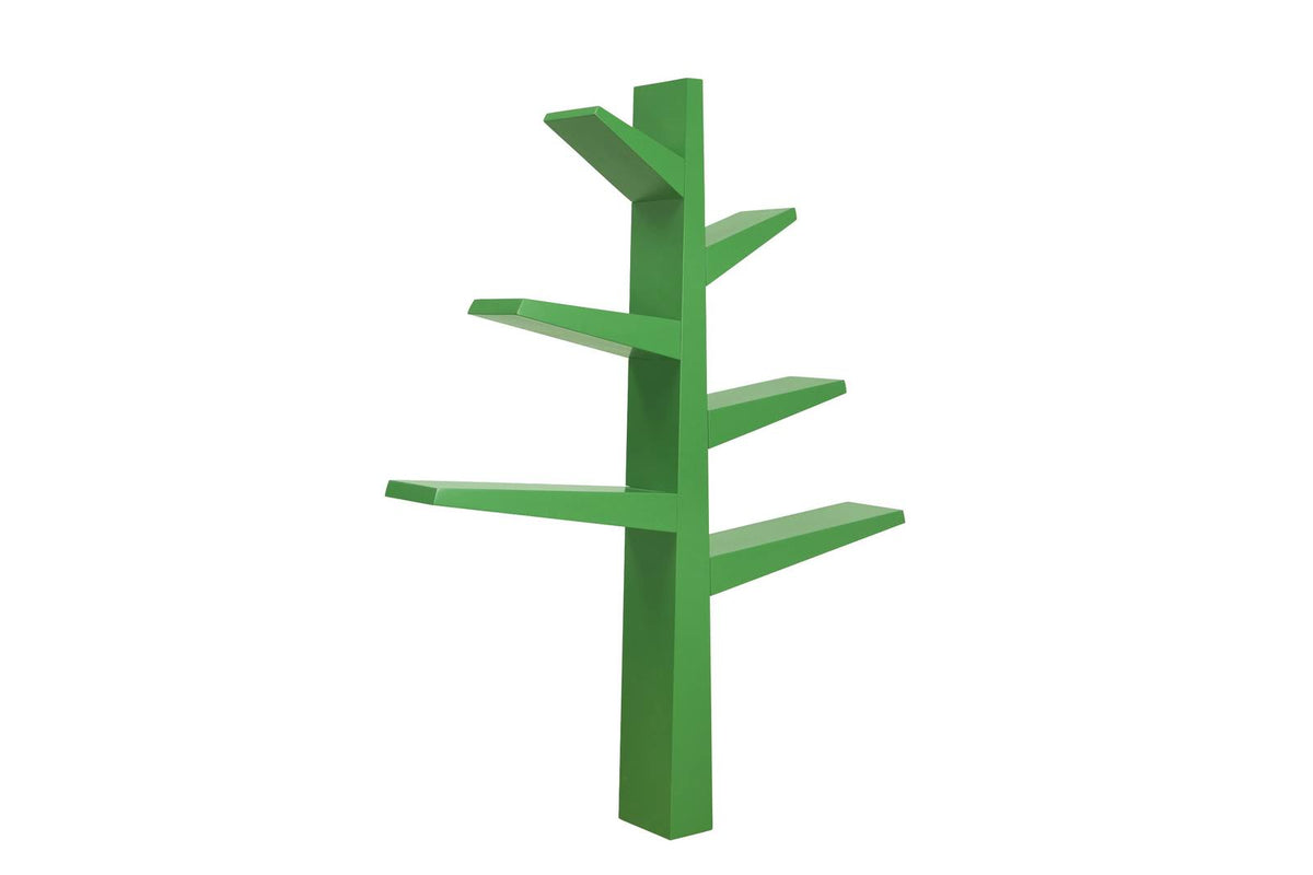Green Bookcase P509873