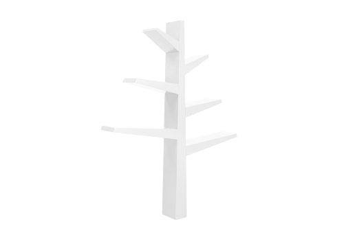 Green Bookcase P509873