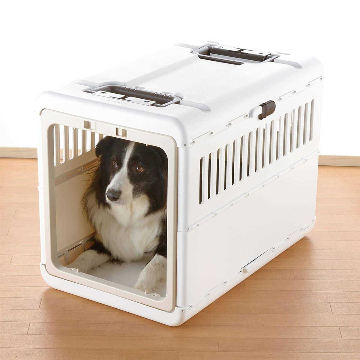Foldable Pet Carrier D348