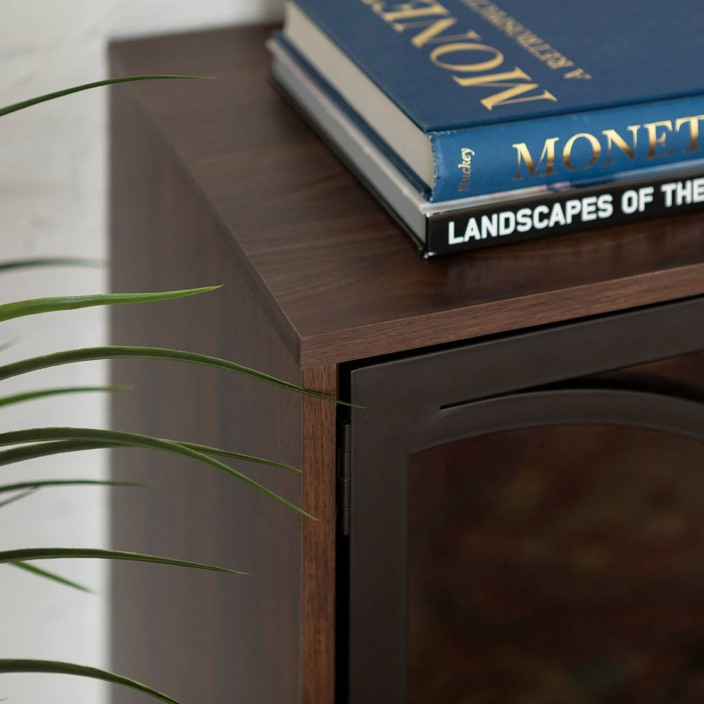 Metal and Glass Door Accent Console P53903