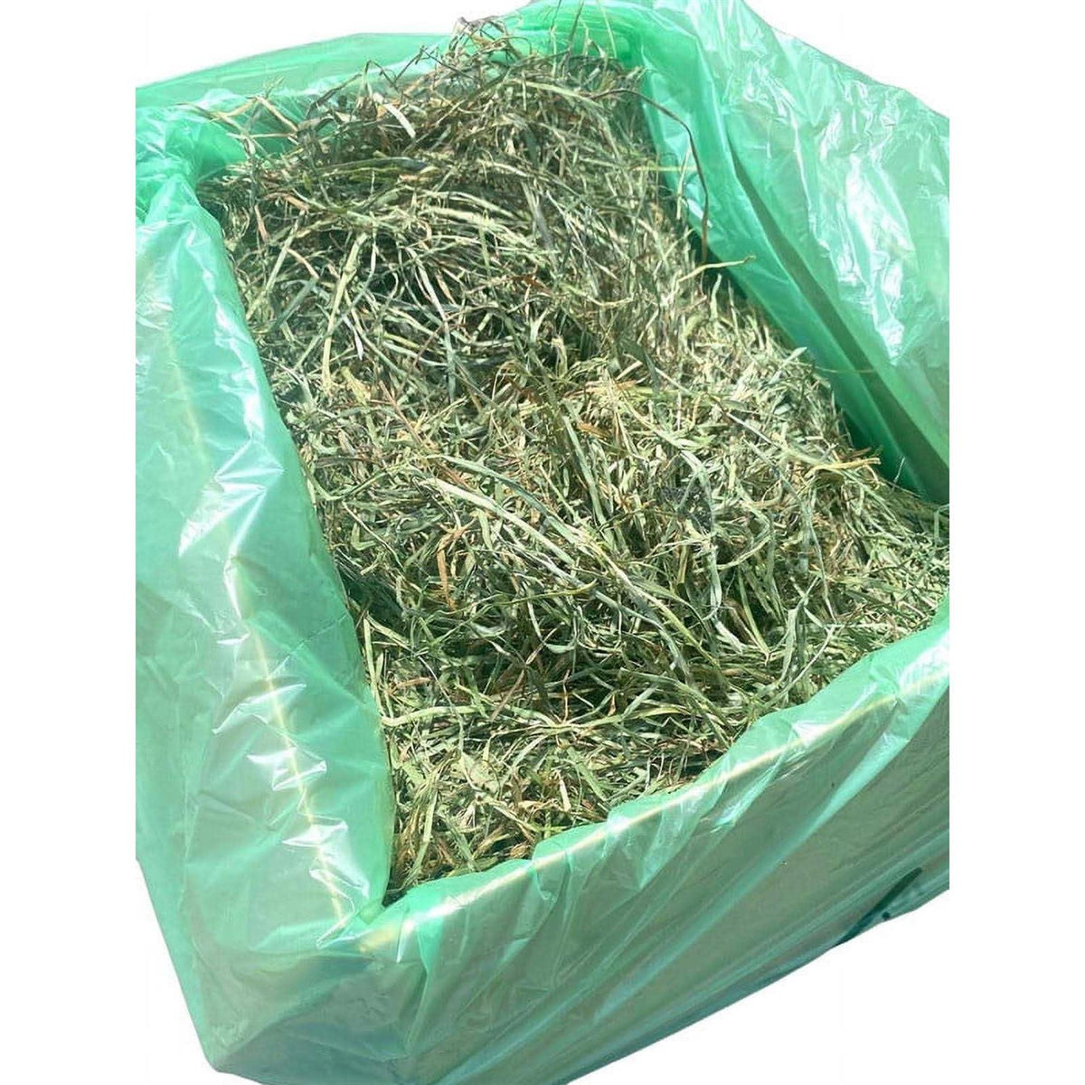 Timothy Hay Small Pet Food M4485