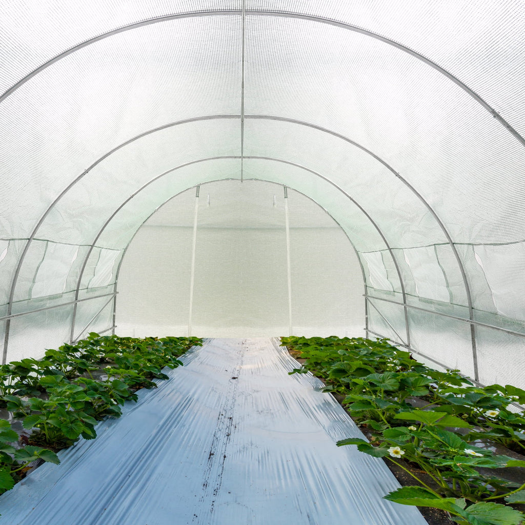 Walk-in Greenhouse 10'x20'x7' X414983