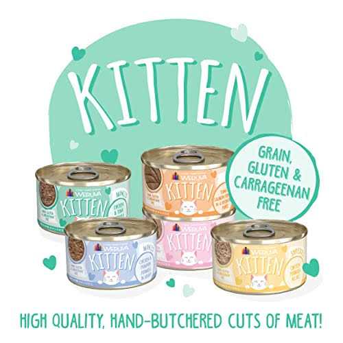 Chicken & Tuna Formula in Gravy Wet Cat Food N5492