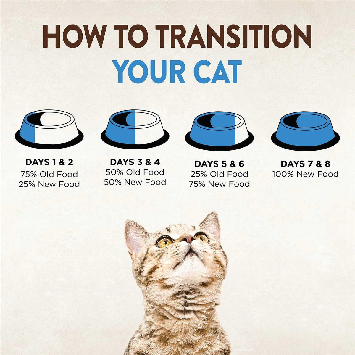Grain Free Canned Cat Food S46999