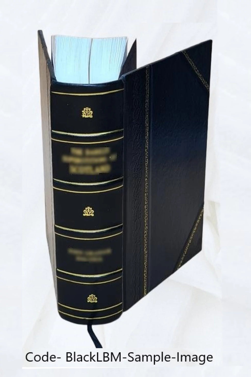 Leather Bound W2337