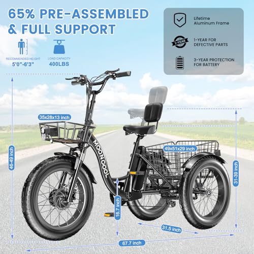 Electric Tricycle 350W 36V Removable Battery 7 Speeds 3 Wheels W866190