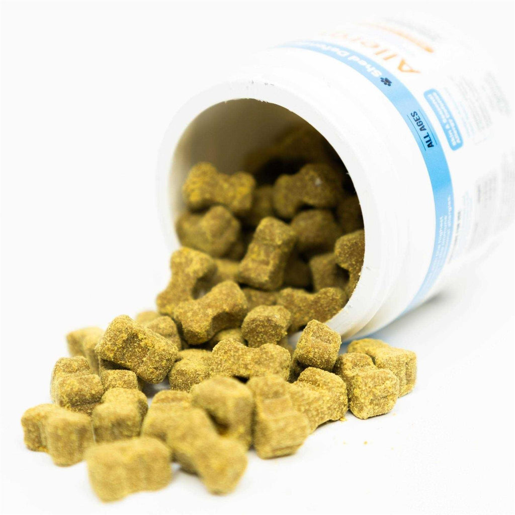 Soft Chew Supplements for Dogs J322