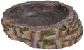 Reptile Pool, 35 x 9 x 34 cm L702