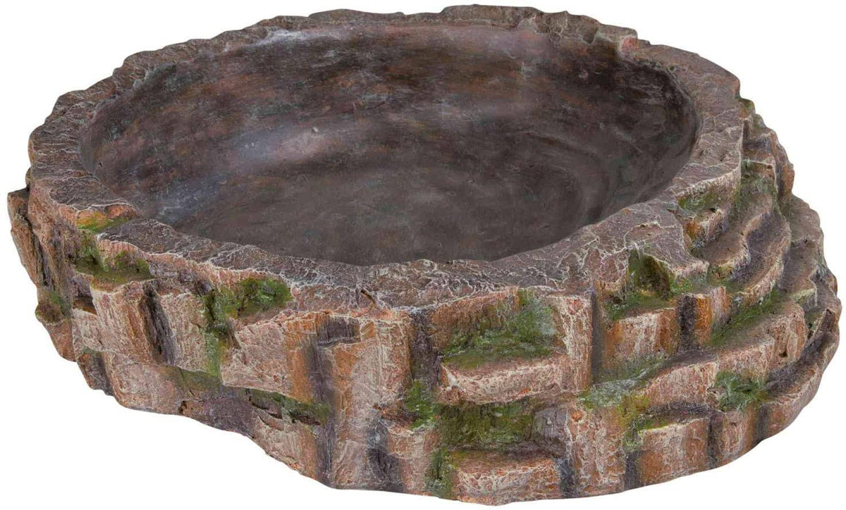 Reptile Pool, 35 x 9 x 34 cm L702