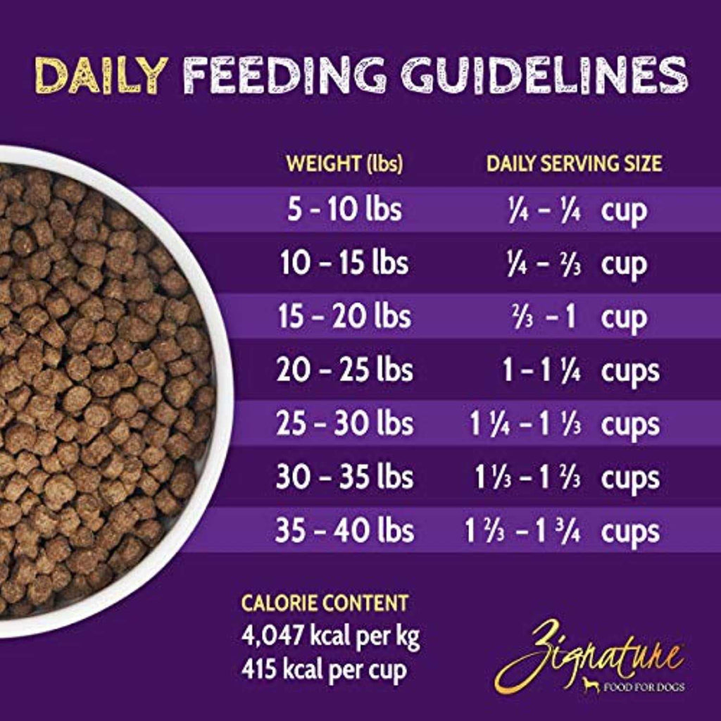 Dry Dog Food T3719