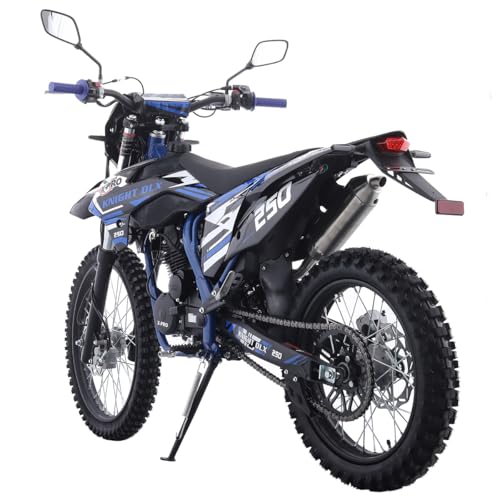 Blue 250 Dirt Bike 5-Speed Manual Transmission 21"/18" Wheels Electric/Kick Start E683