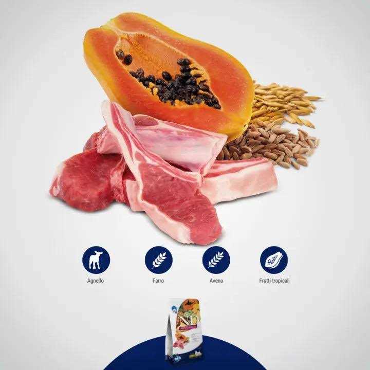 Dry Dog Food Lamb Spelt Oats and Tropical Fruits Adult Medium & Maxi Z42964