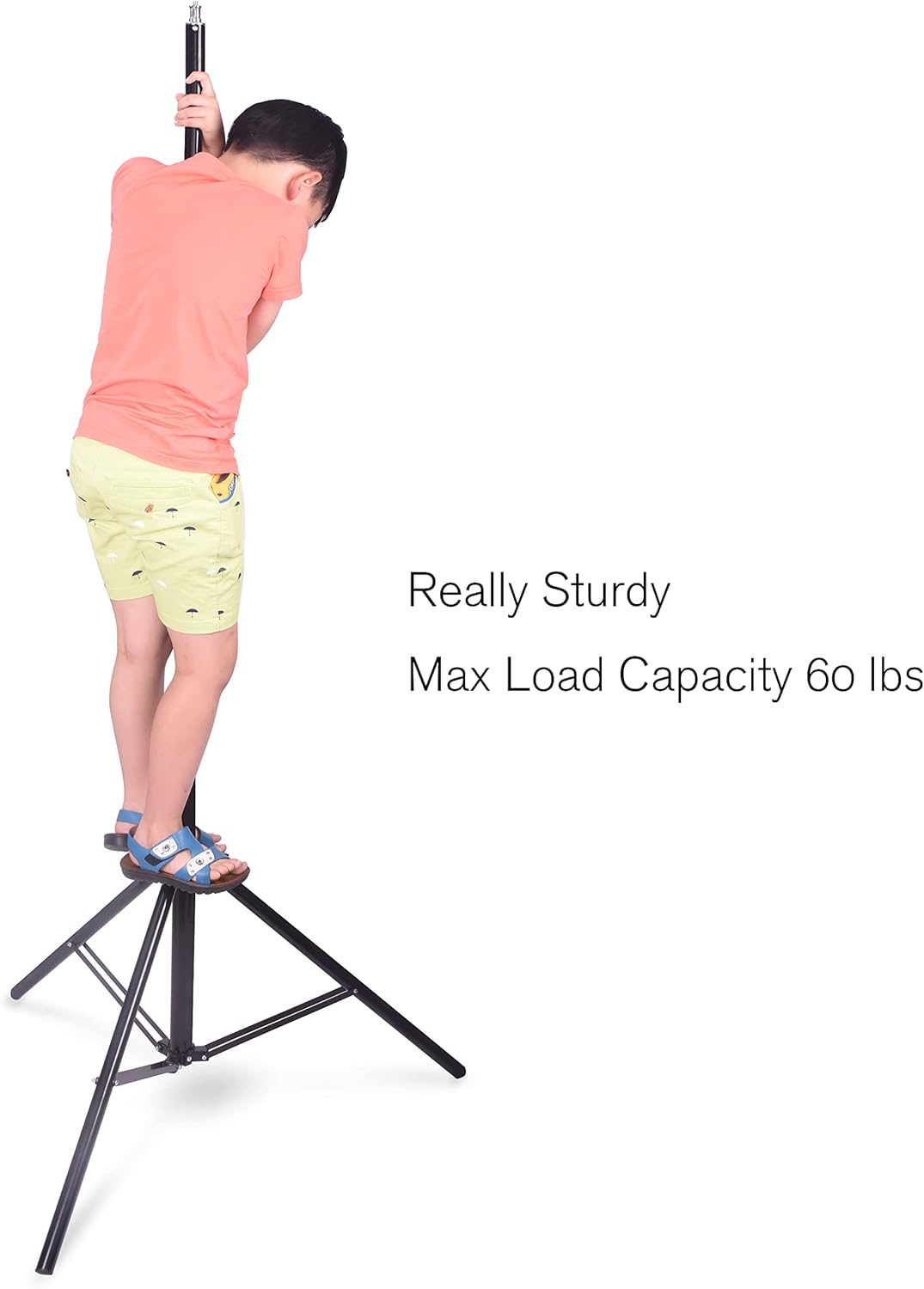 8.5ft Adjustable Aluminum Light Stand with Carrying Bag, 2 Pack X53795