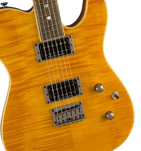 Black Cherry Burst Electric Guitar C868
