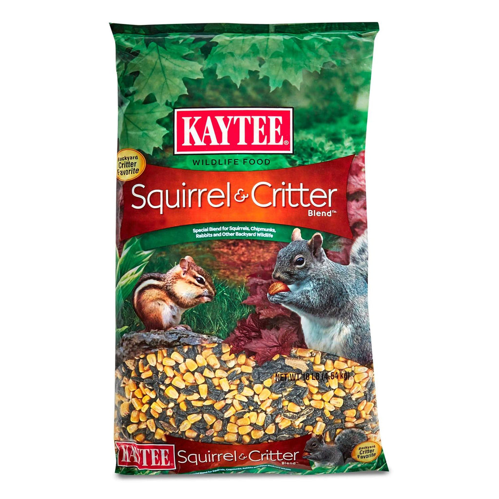 Squirrel Food E799298