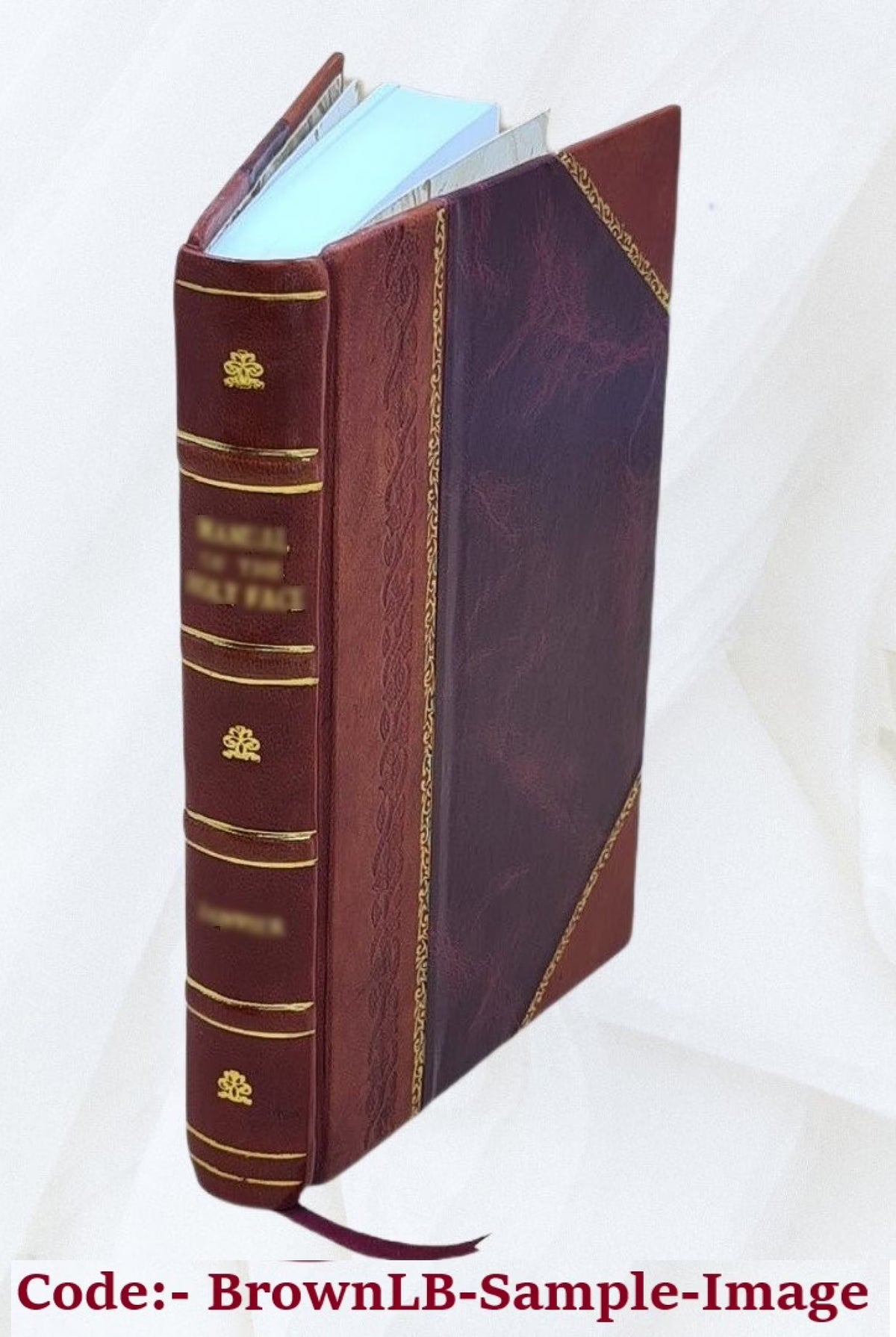 American rejected addresses, now first published from the original mauscripts 1855 L581