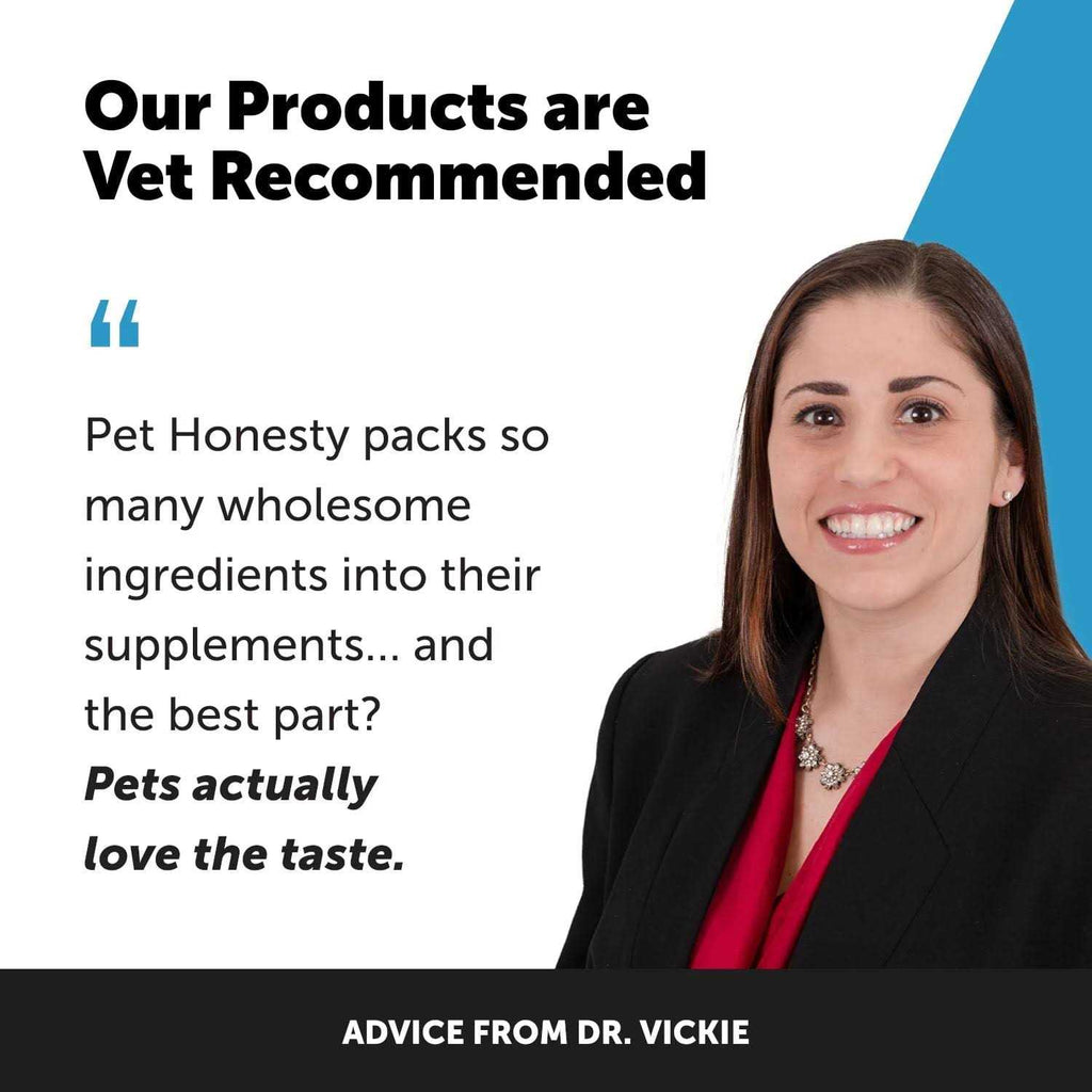 Digestive Skin and Coat Cat Supplement R5847