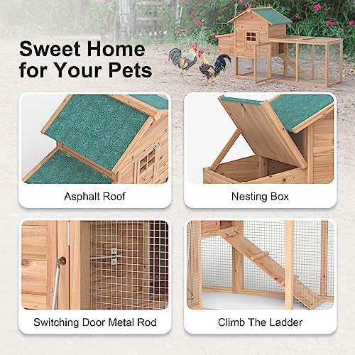 Wooden Chicken Coop with Nesting Box and Ramp L31119
