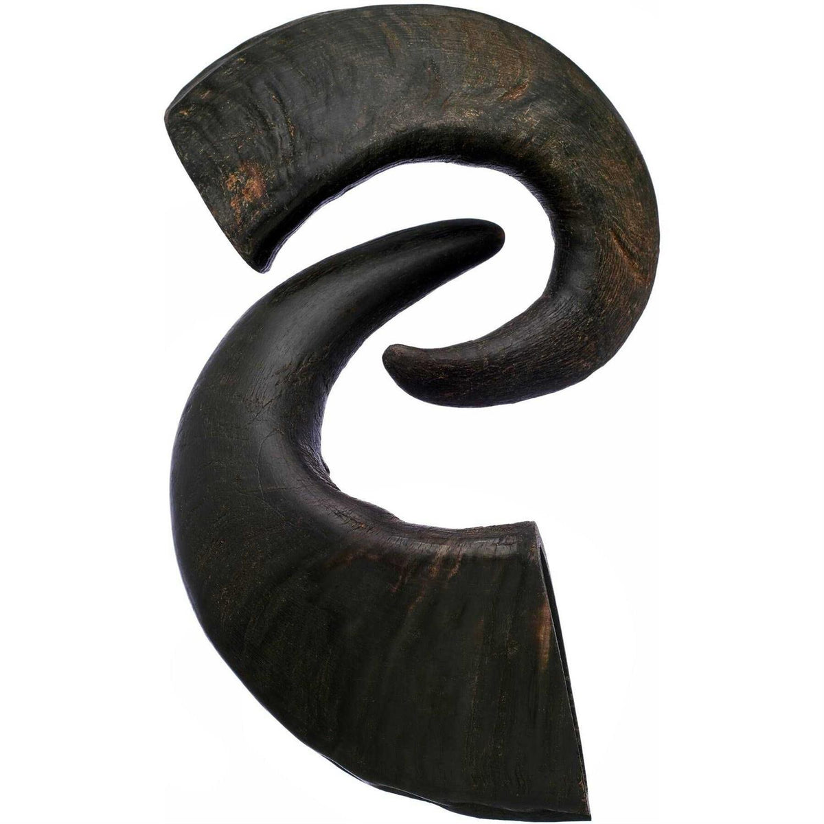 Water Buffalo Horn Dog Treat S1364