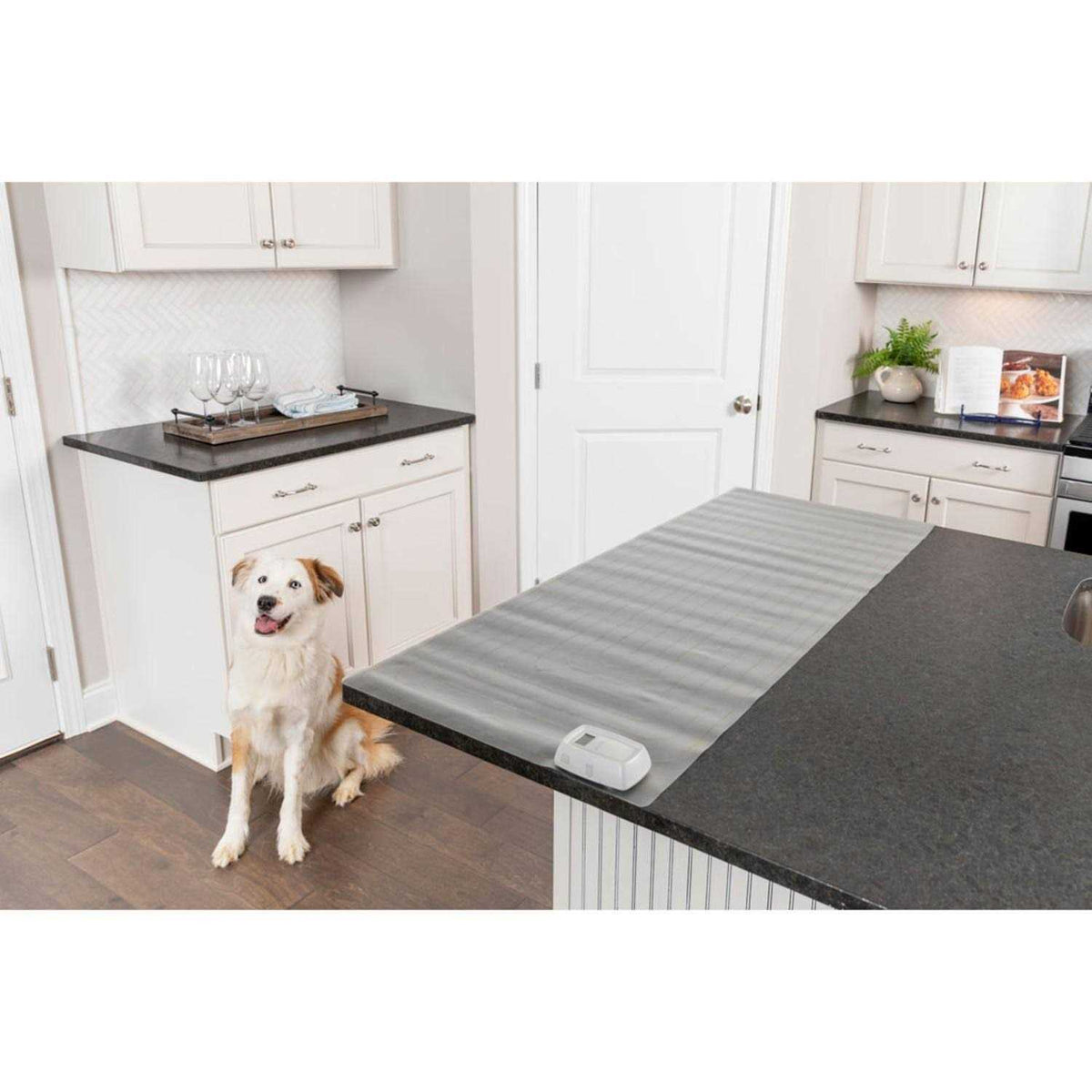 Indoor Training Mat F487