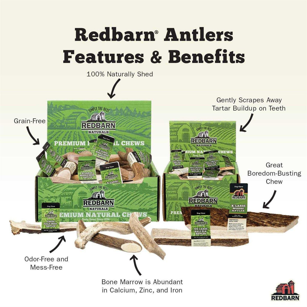 Deer Antler Z6353