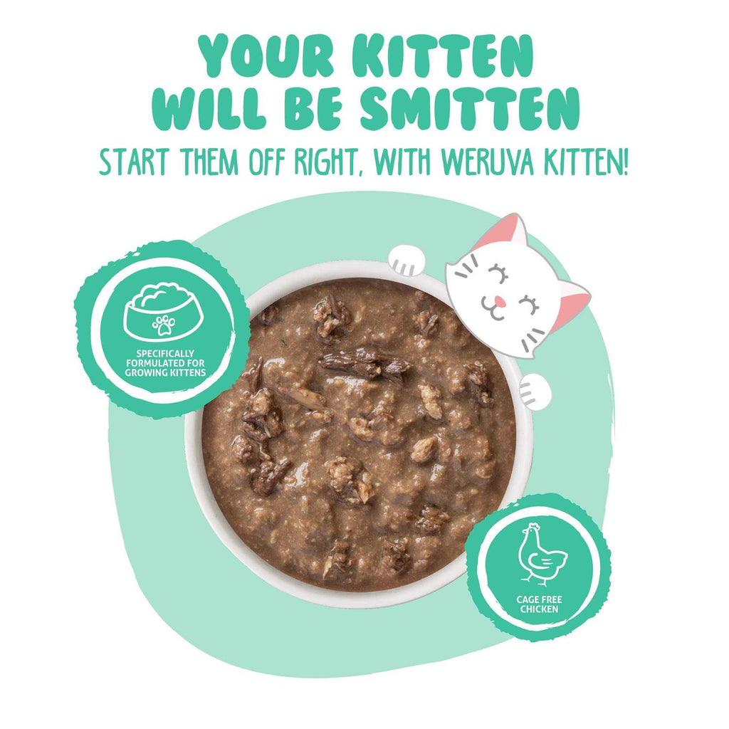 Chicken & Tuna Formula in Gravy Wet Cat Food N5492