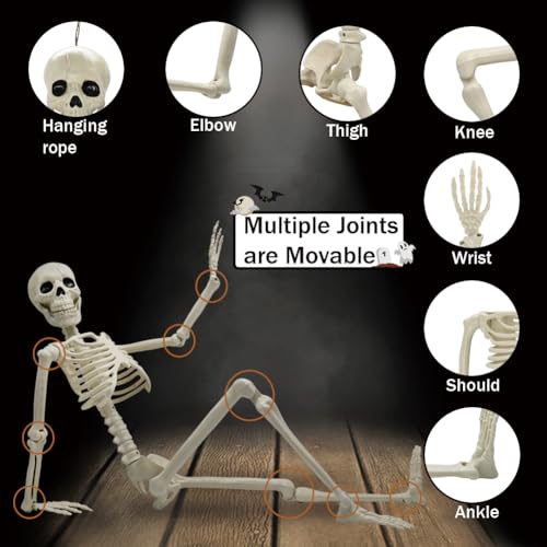 5.9FT Plastic Full Size Human Skeleton with Movable Joints S346146