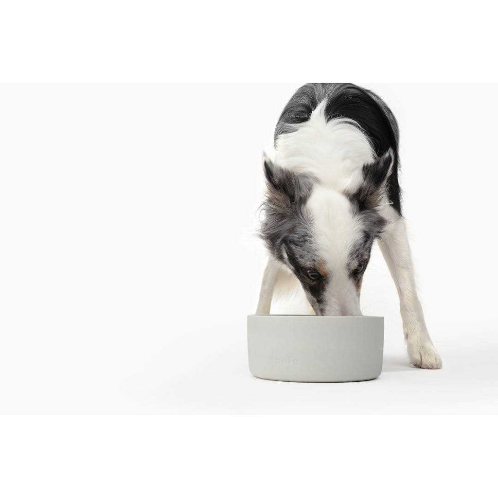 Bowl F39947