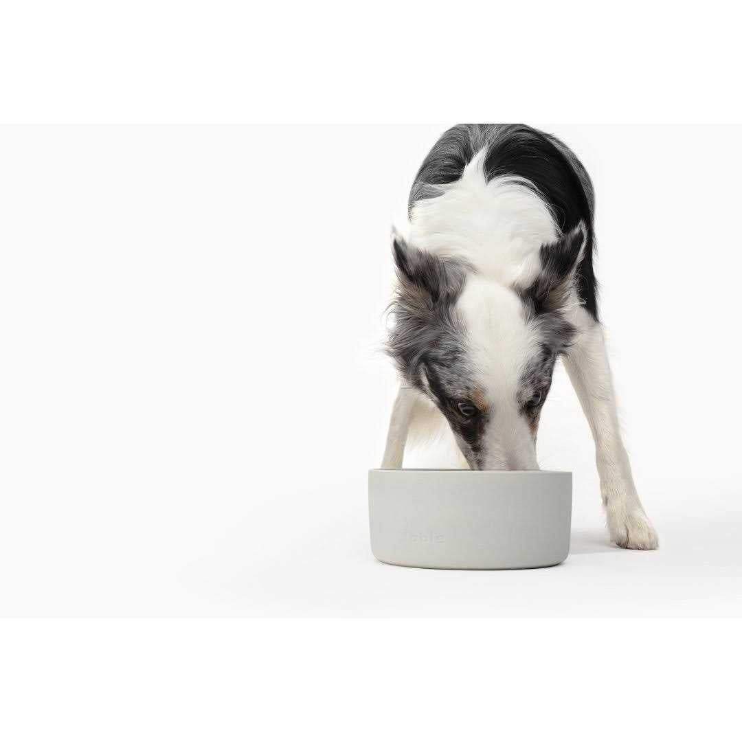 Bowl F39947