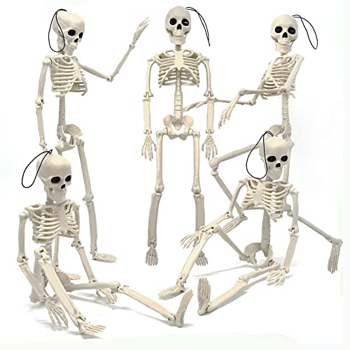 5.9FT Plastic Full Size Human Skeleton with Movable Joints S346146