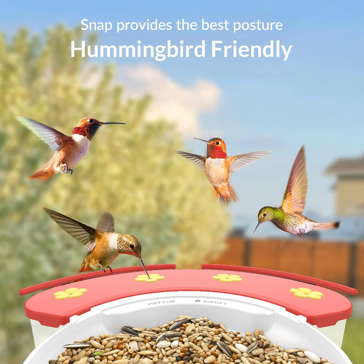 Bird Feeder with Camera N485138