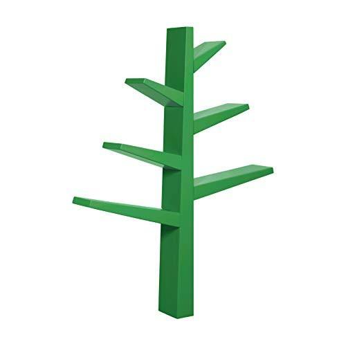 Green Bookcase P509873