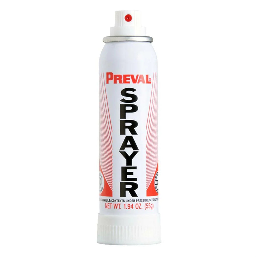 Touch Up Basecoat Spray Paint O69269