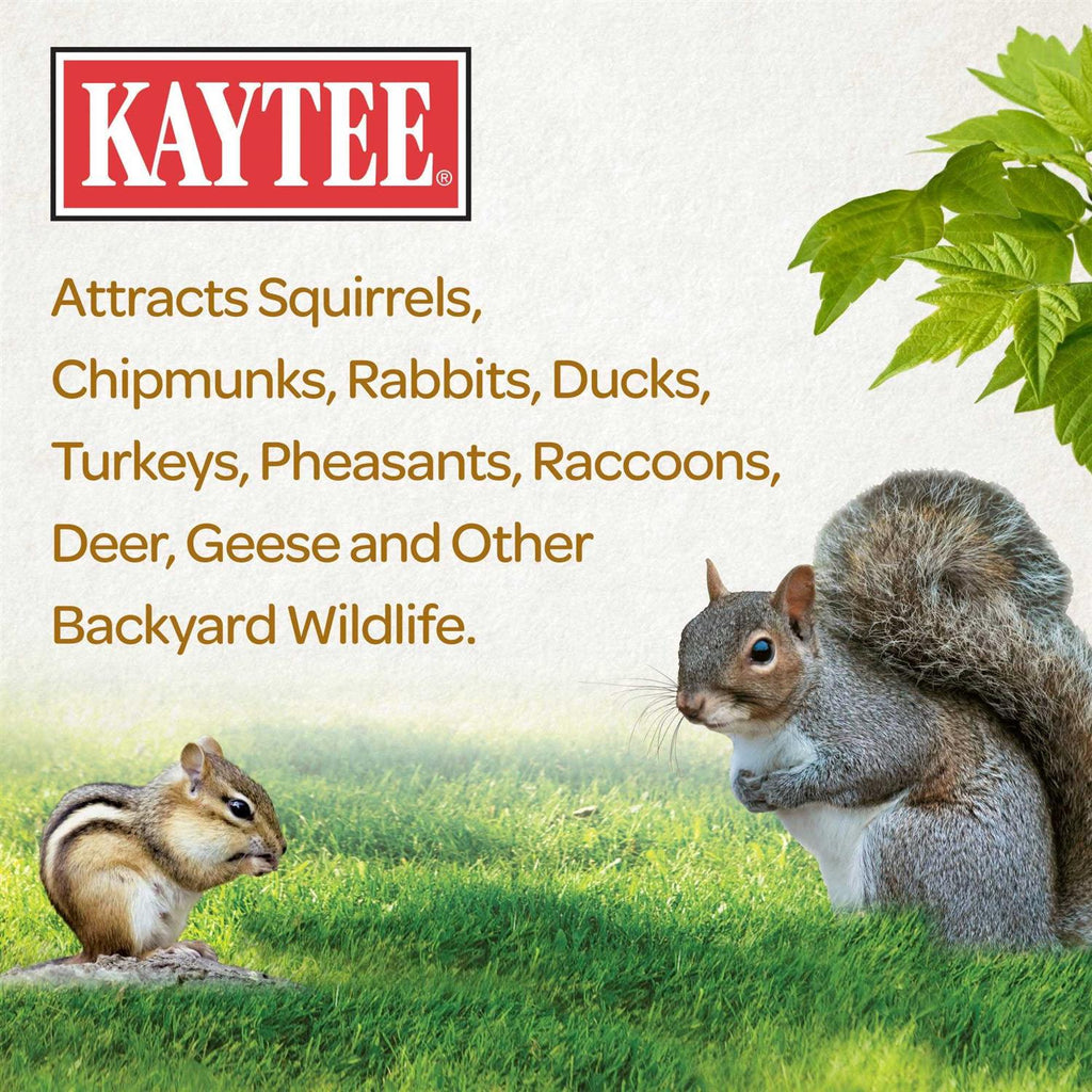 Squirrel Food E799298