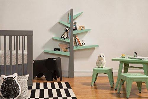 Green Bookcase P509873