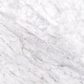 12 in. x 12 in. Polished Marble Floor and Wall Tile O120