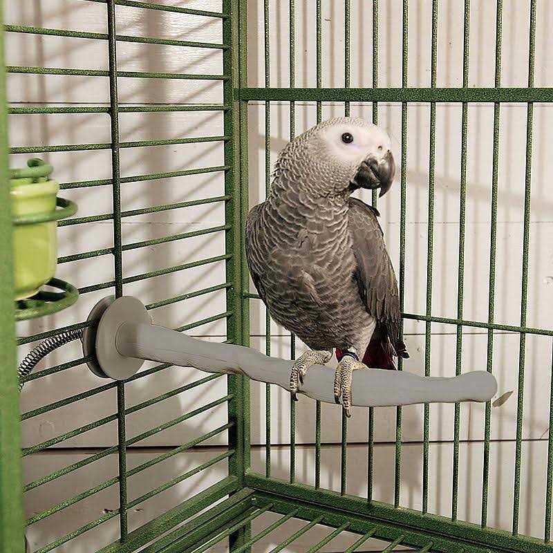 Bird Thermo-Perch W778