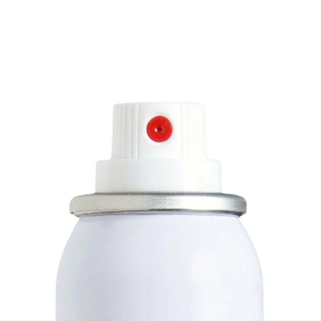 Touch Up Basecoat Spray Paint O69269