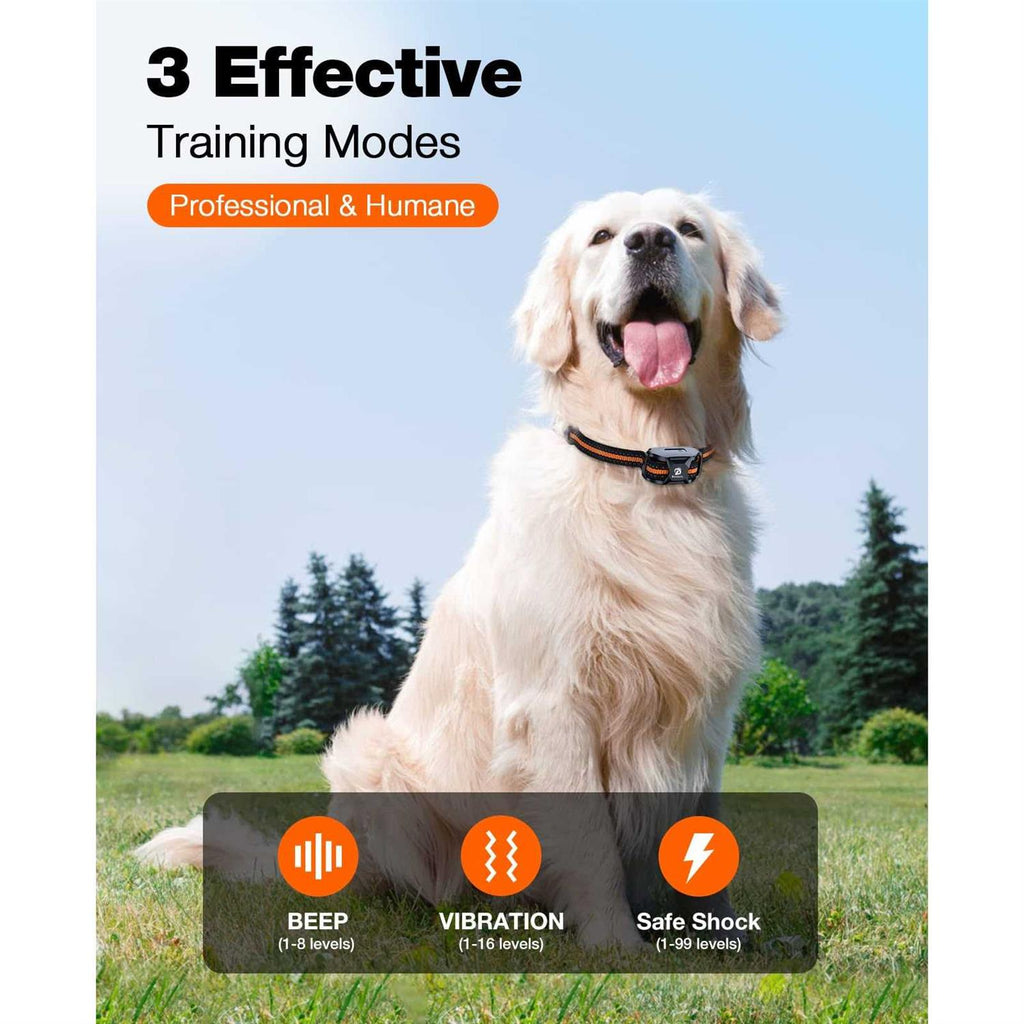 Dog Shock Collar with Remote V5319