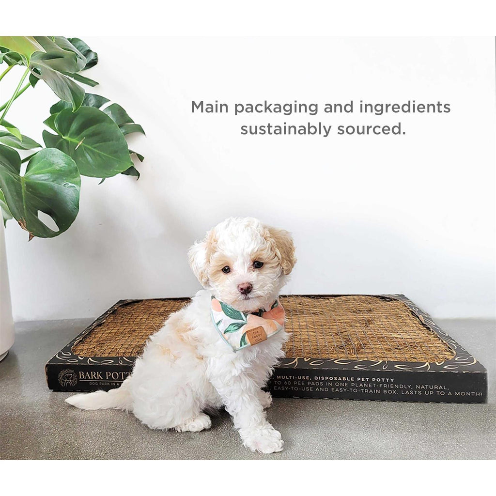 Natural Disposable Dog Potty Pad F3172