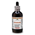 Guarana Dry Seed Liquid Extract 4 Fl.Oz D6098