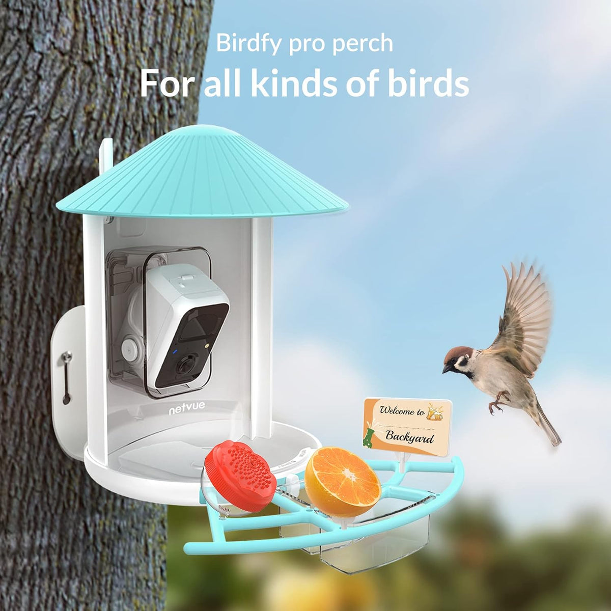 Bird Feeder with Camera N485138