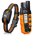 Dog Shock Collar with Remote V5319