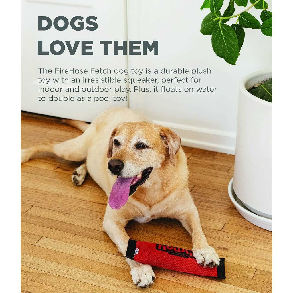 Fetch Dog Toy N8204